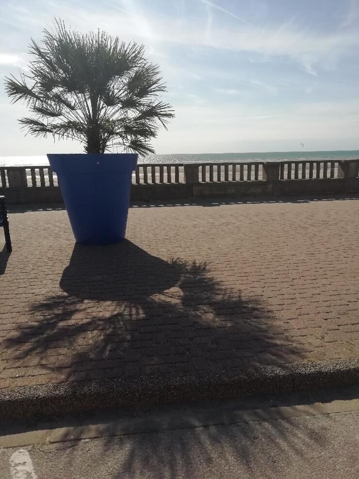 T3 Rez-De-Chaussee Lumineux Avec Terrasse Proche Plage Cucq Esterno foto