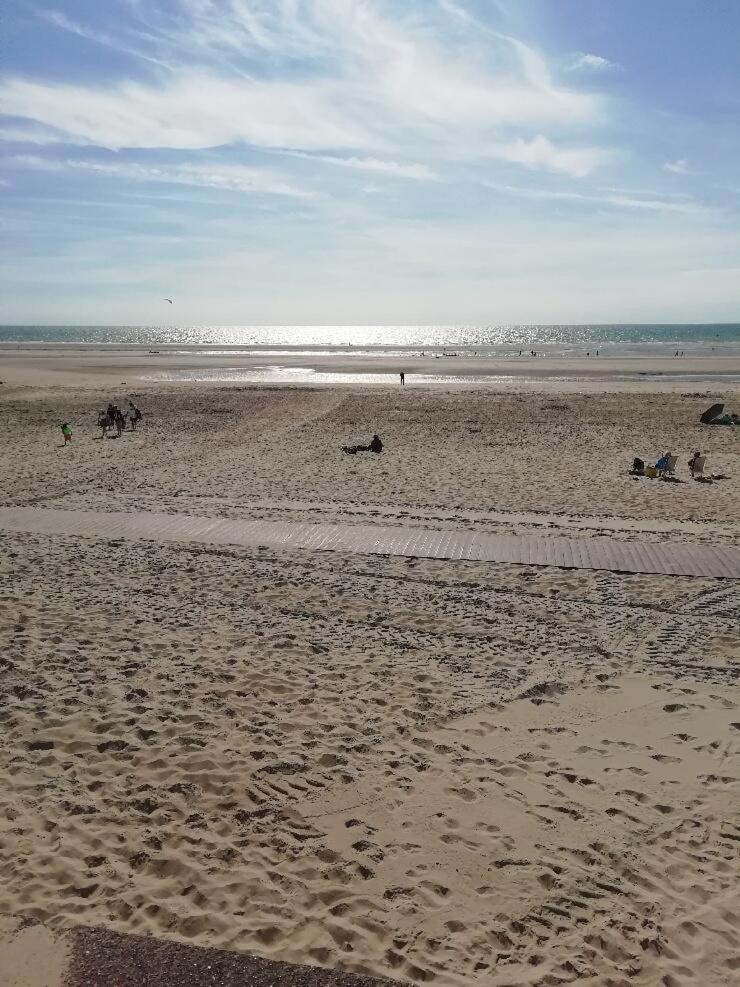 T3 Rez-De-Chaussee Lumineux Avec Terrasse Proche Plage Cucq Esterno foto