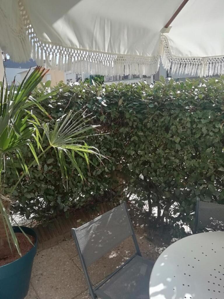 T3 Rez-De-Chaussee Lumineux Avec Terrasse Proche Plage Cucq Esterno foto