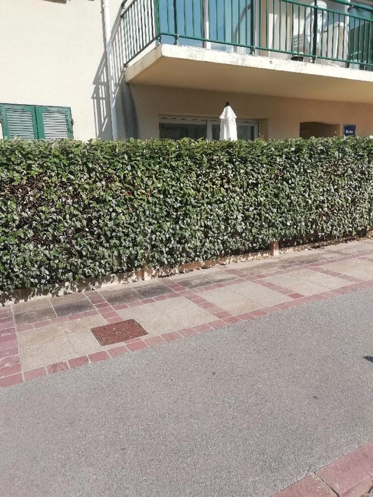 T3 Rez-De-Chaussee Lumineux Avec Terrasse Proche Plage Cucq Esterno foto